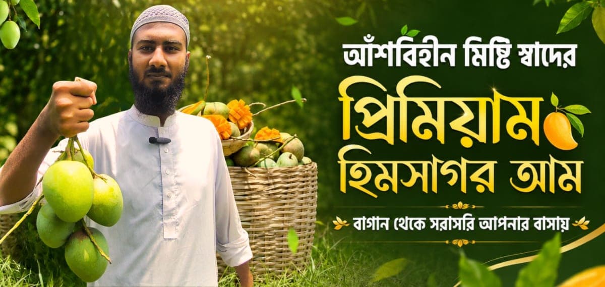 রাজশাহী অঞ্চলের হিমসাগর আম