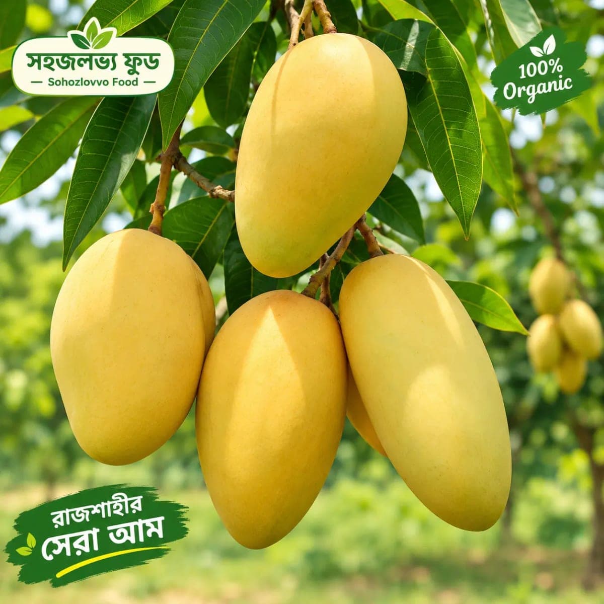 10kg সুইট কাটিমন আম